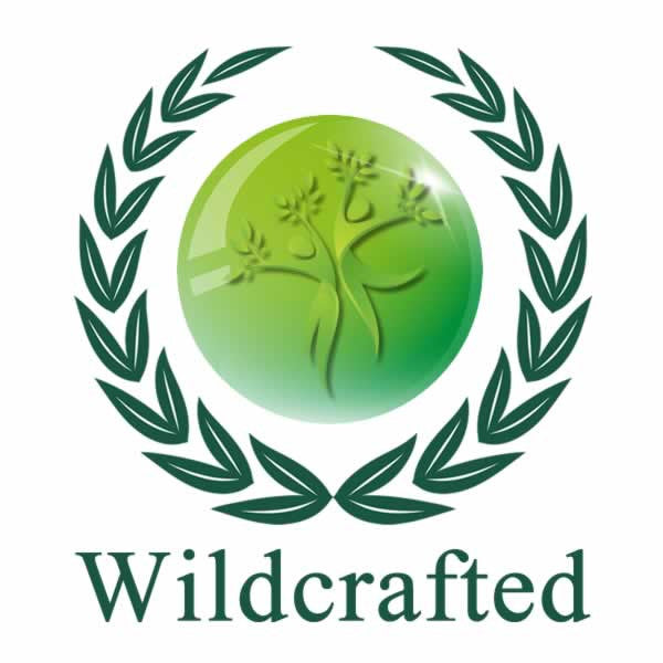 Laurel Berry Oil - 1 kilo bottle - Sinfully Wholesome